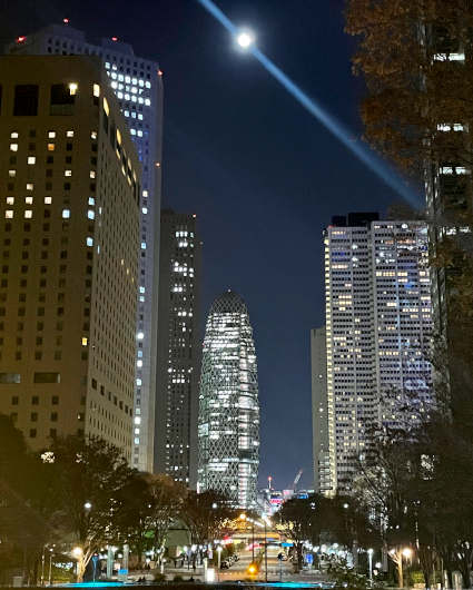 Multea Talk: Experimenting with Multilingualism in Contemporary Japanese Literature